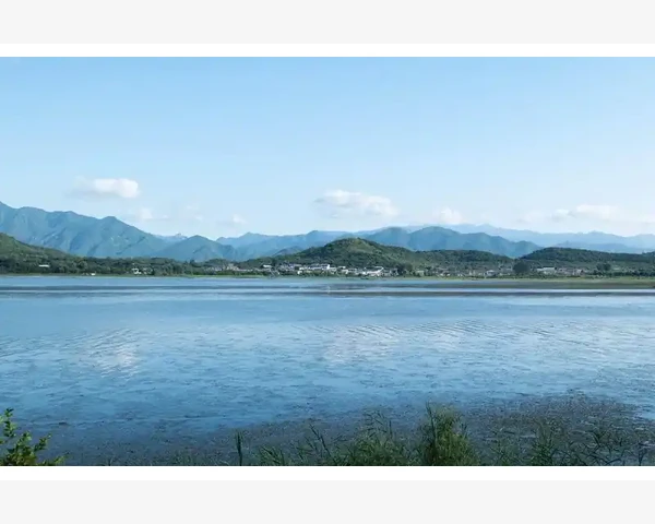 刮痧后多久洗澡更健康？看完你就明白了！